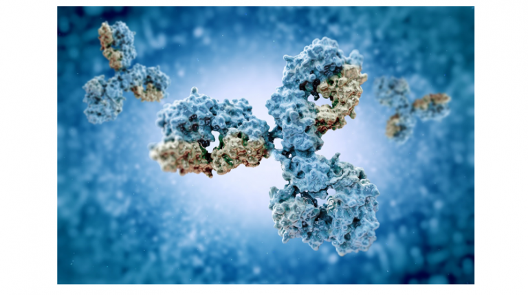 Read more about the article METHODS TO DETECT HOST CELL PROTEINS IN BIOPHARMACEUTICAL